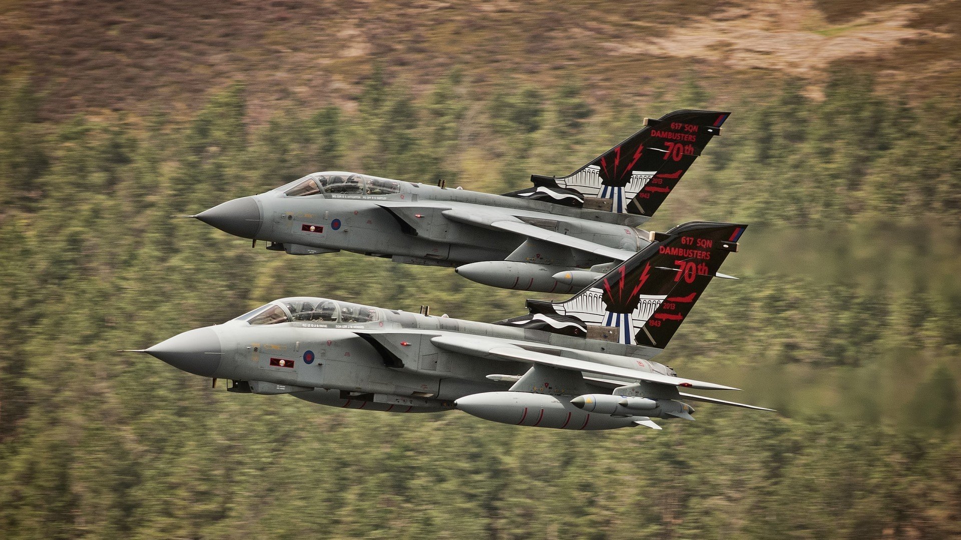 运动员康复训练技术支持，运动员康复训练技术支持方案