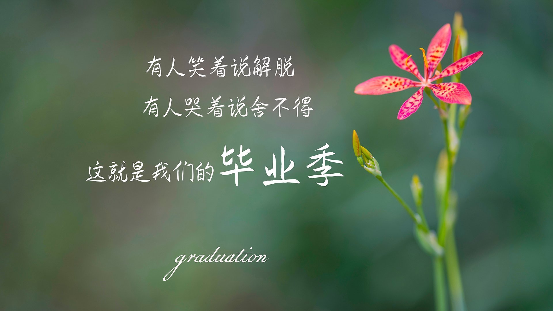 DOTA2观赛热潮不减各大平台竞争激烈,dota2 观看比赛