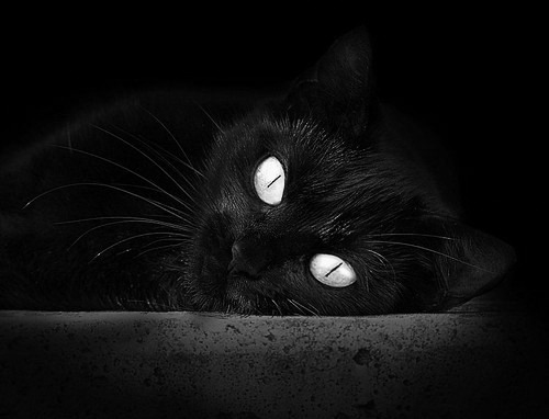 男子仰泳破个人最佳,中国男子仰泳领军人物