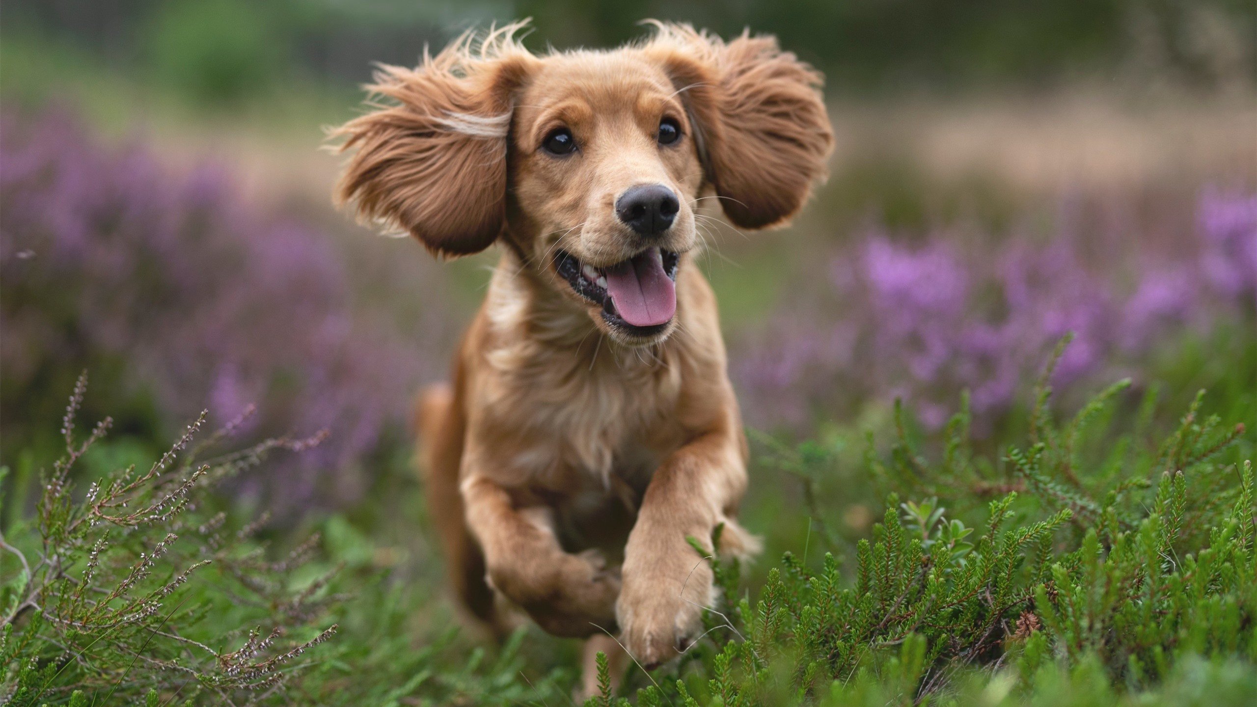 中国女篮保持比赛节奏稳定,中国女篮的比赛时间